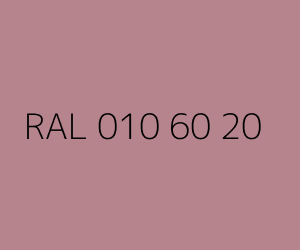 Color RAL 010 60 20 