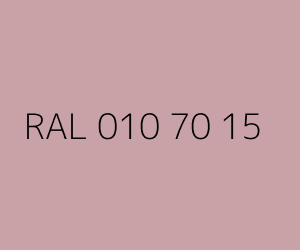 Color RAL 010 70 15 