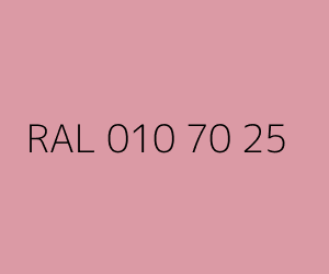 Color RAL 010 70 25 
