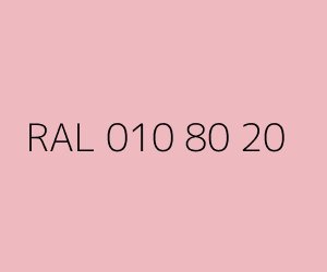 Color RAL 010 80 20 