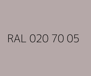 Color RAL 020 70 05 