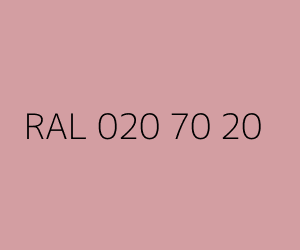 Color RAL 020 70 20 