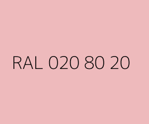 Color RAL 020 80 20 