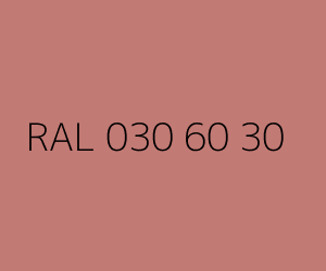 Color RAL 030 60 30 