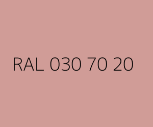 Color RAL 030 70 20 