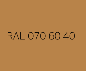 Color RAL 070 60 40 