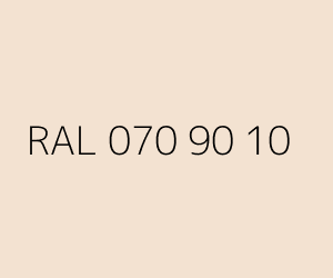 Color RAL 070 90 10 