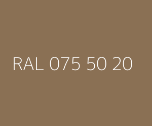 Color RAL 075 50 20 