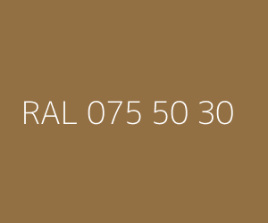 Color RAL 075 50 30 