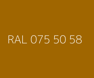 Color RAL 075 50 58 