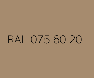 Color RAL 075 60 20 