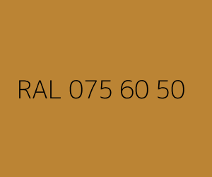 Color RAL 075 60 50 