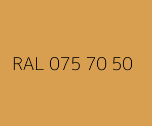 Color RAL 075 70 50 