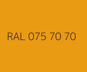 Color RAL 075 70 70 