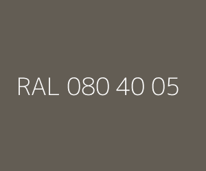 Color RAL 080 40 05 