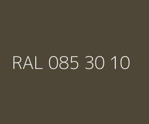 Color RAL 085 30 10 