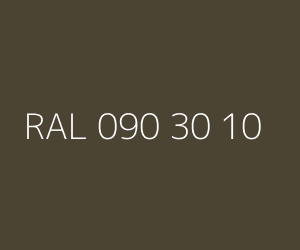 Color RAL 090 30 10 