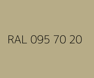 Color RAL 095 70 20 