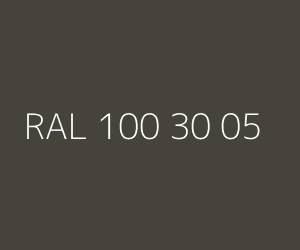Color RAL 100 30 05 