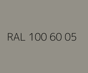 Color RAL 100 60 05 