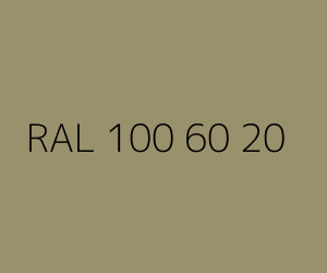 Color RAL 100 60 20 