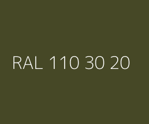 Color RAL 110 30 20 