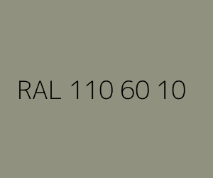 Color RAL 110 60 10 