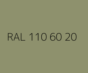 Color RAL 110 60 20 