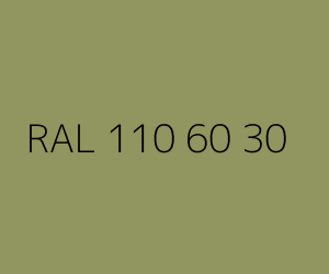 Color RAL 110 60 30 