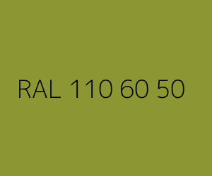Color RAL 110 60 50 
