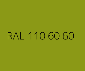 Color RAL 110 60 60 