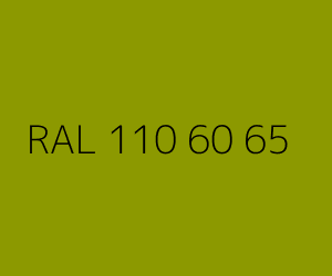 Color RAL 110 60 65 