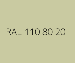Color RAL 110 80 20 