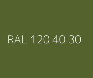 Color RAL 120 40 30 