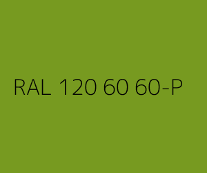 Color RAL 120 60 60-P 