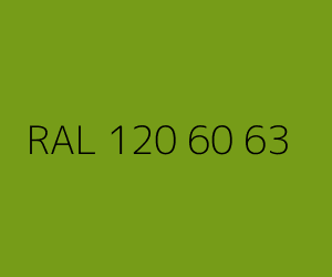 Color RAL 120 60 63 