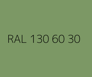 Color RAL 130 60 30 