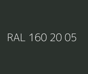 Color RAL 160 20 05 
