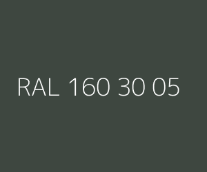Color RAL 160 30 05 