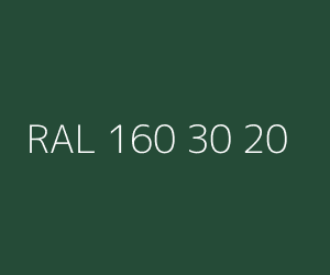 Color RAL 160 30 20 