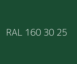 Color RAL 160 30 25 
