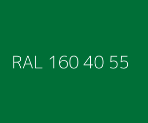 Color RAL 160 40 55 
