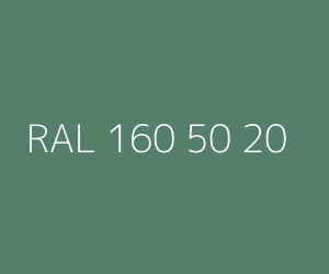 Color RAL 160 50 20 