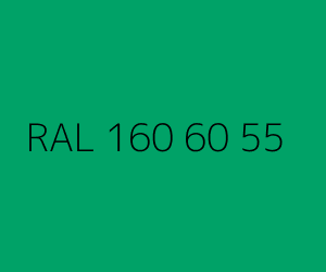 Color RAL 160 60 55 