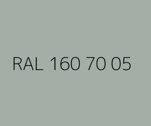 Color RAL 160 70 05 