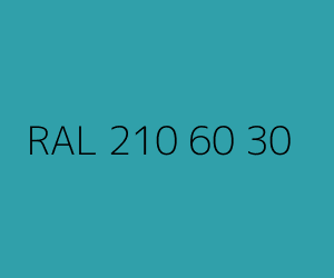 Color RAL 210 60 30 