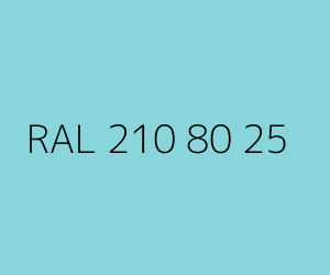 Color RAL 210 80 25 