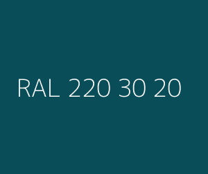 Color RAL 220 30 20 
