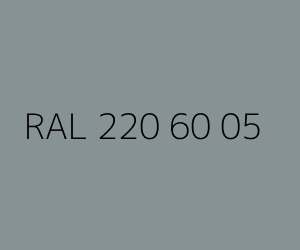 Color RAL 220 60 05 