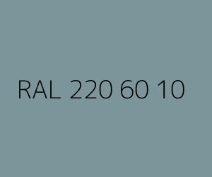 Color RAL 220 60 10 